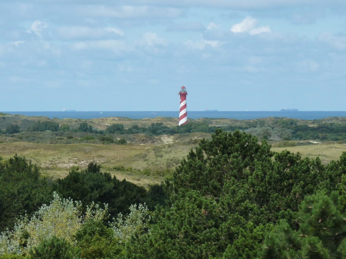 Camping Ginsterveld Burgh-Haamstede Dış mekan fotoğraf